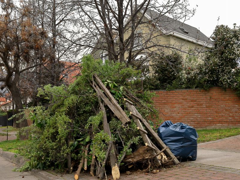 Exterior Debris Removal
