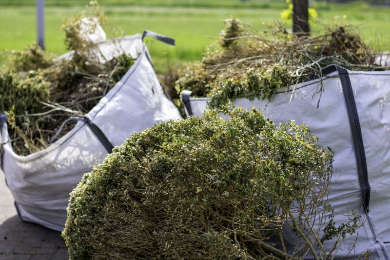 Exterior Debris Removal
