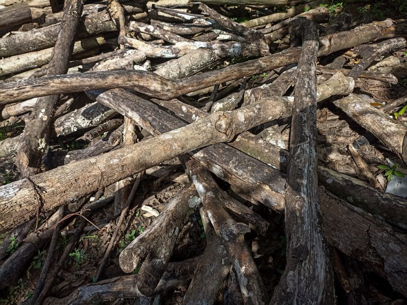 Exterior Debris Removal