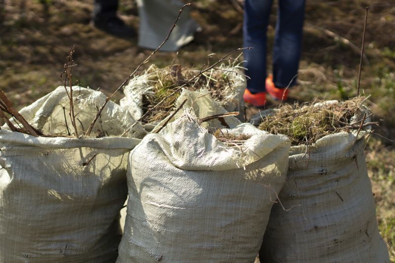 Exterior Debris Removal