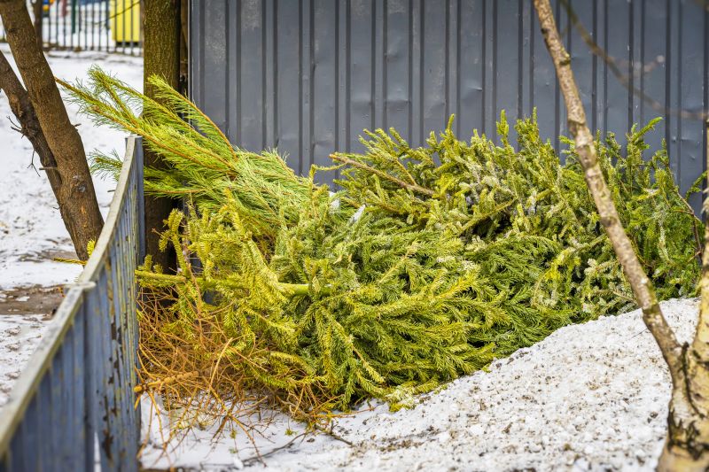 Seasonal Exterior Maintenance