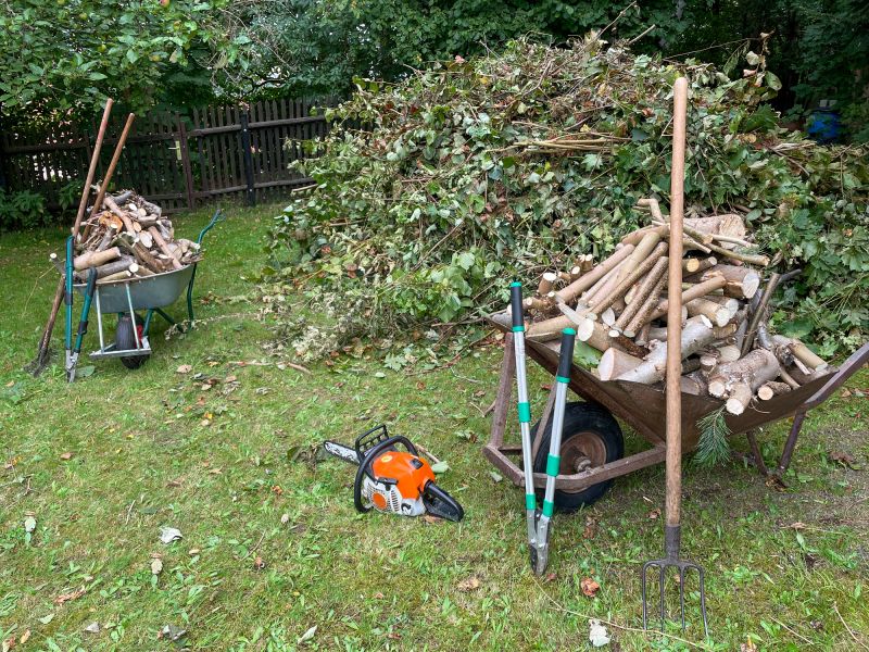 Increase Your Exterior Debris Removal Business with an AI Driven, Targeted Website